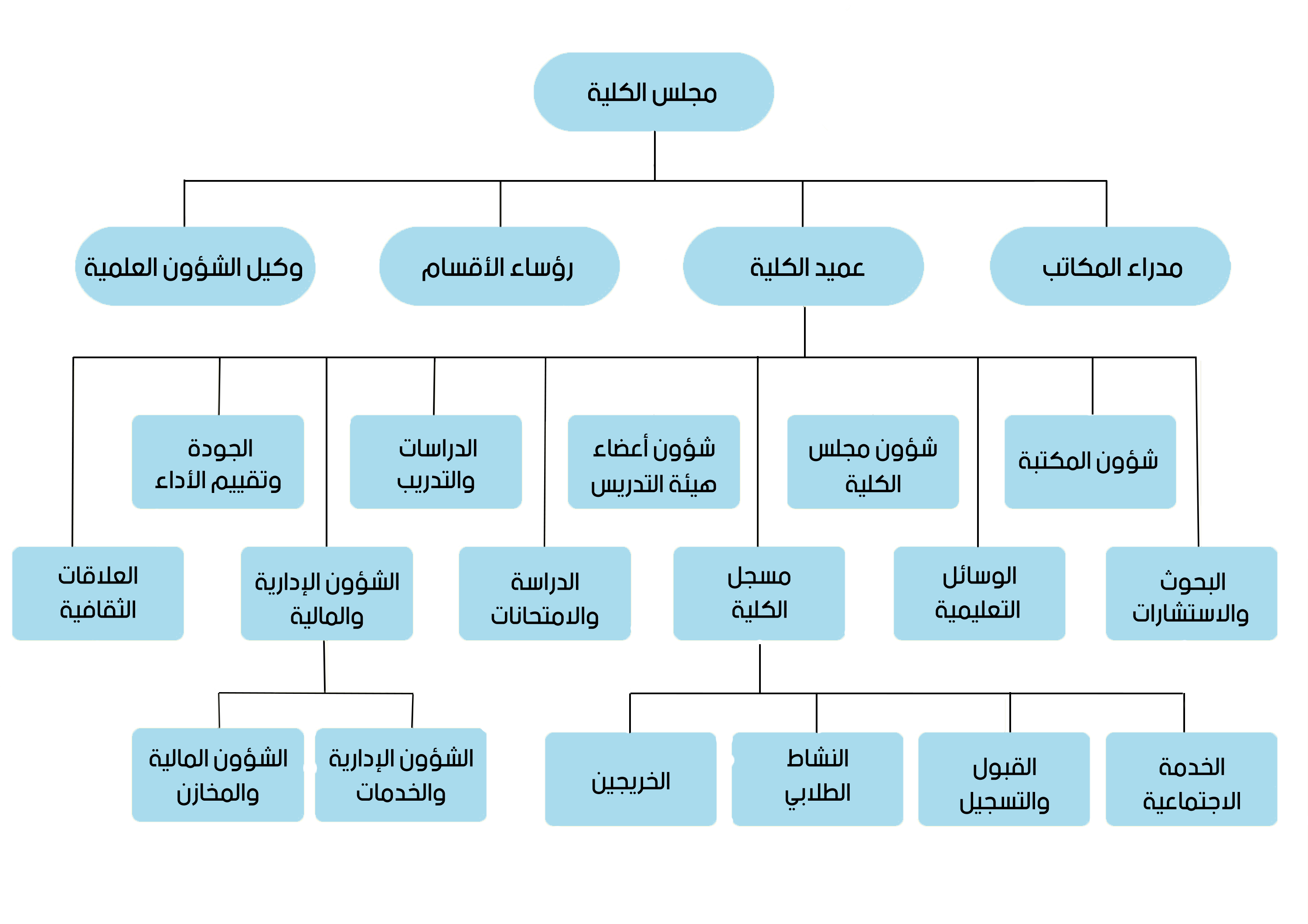 organization chart w1